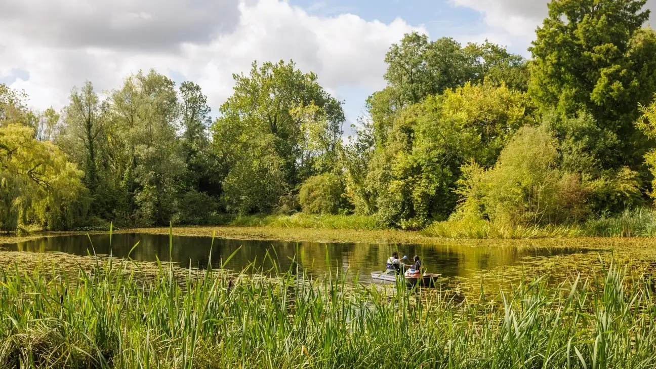 A lake with two students in a row boat