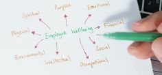 Workplace health and wellbeing initiatives to reduce sickness absence and improve quality of life