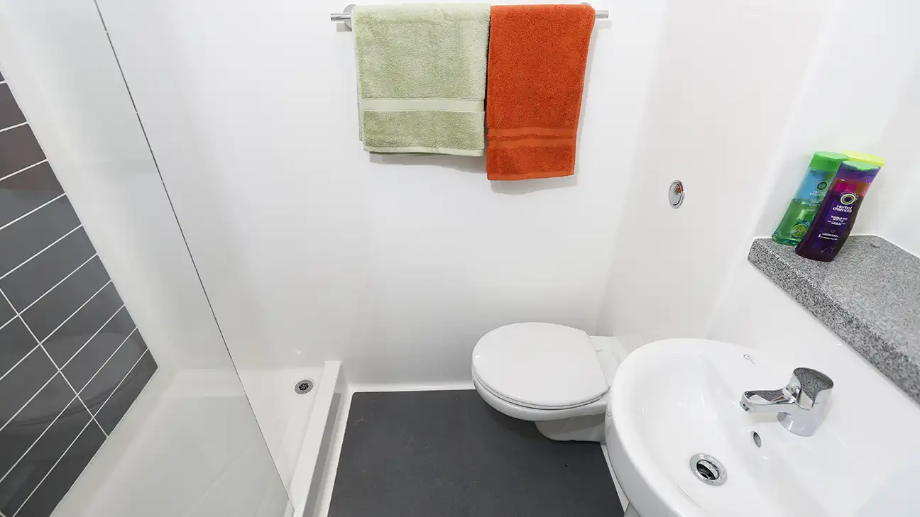Toilet and sink 
