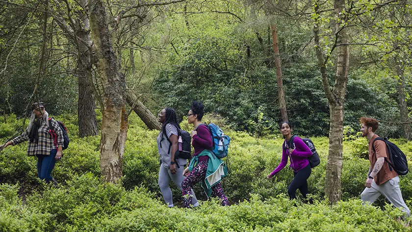 People walking through a woodland