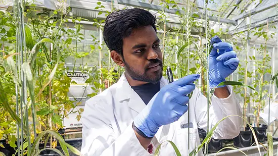 Student in a lab coat looking at plants
