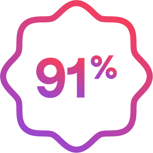 91 per cent icon