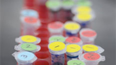 test tube samples