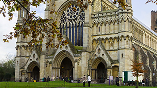 St Albans cathedral with tree