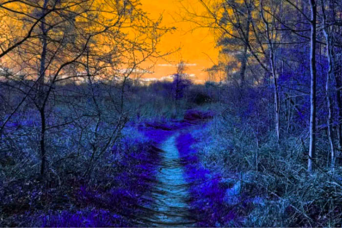 Grounding us to Earth through the Digital - Artist talk and screening