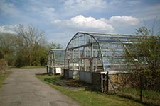 Bayfordbury Glasshouses