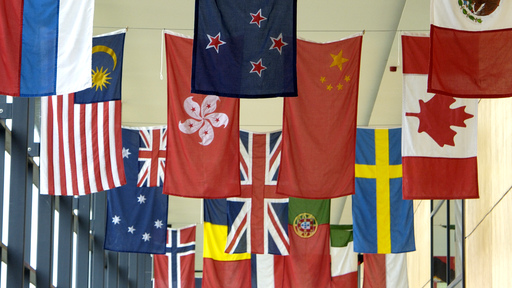 flags from lots of countries