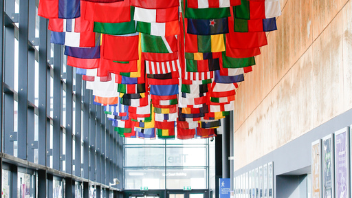 flags of many countries