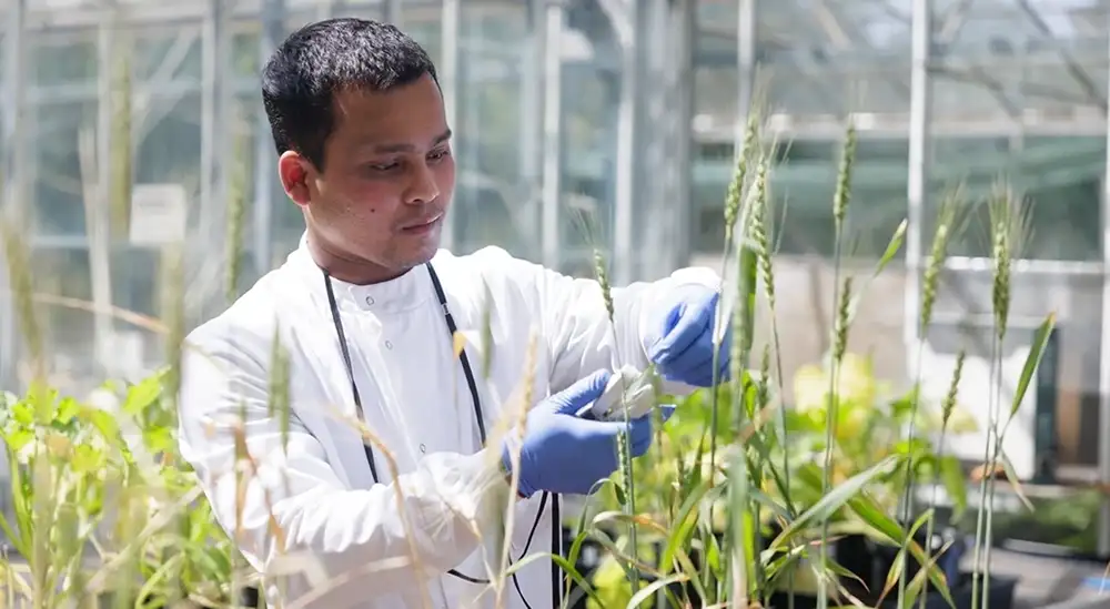 A student in a glasshouse in a lab coat testing plants