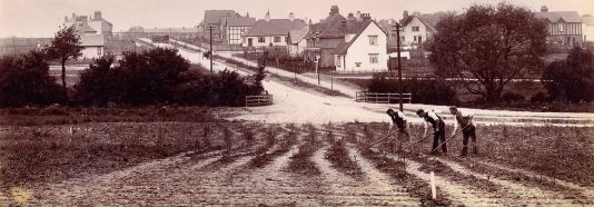 Hertfordshire Association for Local History Symposium