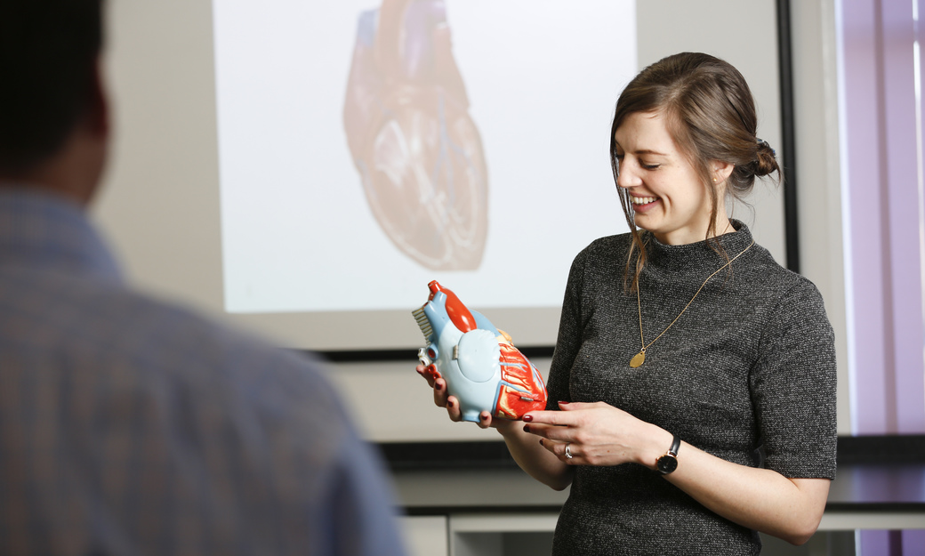 woman holding model heart