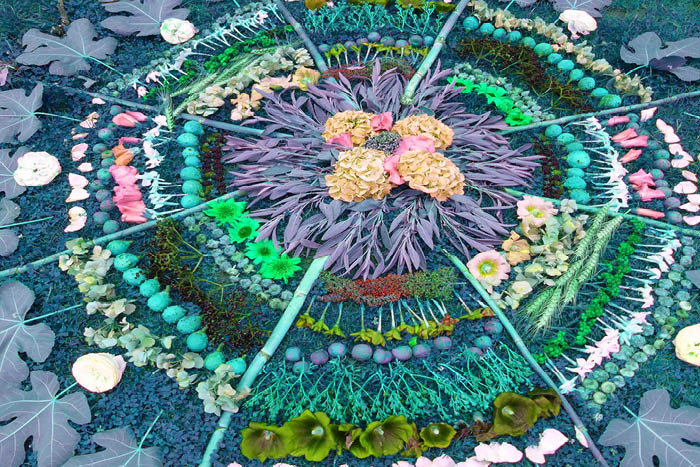 Create a Digital Nature Mandala  