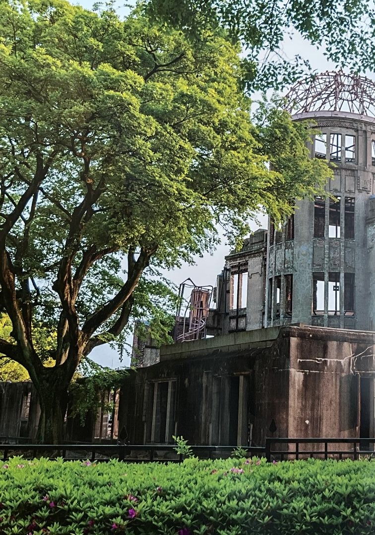Ruins of a building in grass