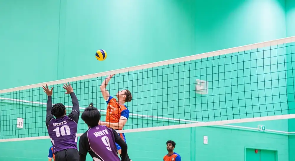  People playing volleyball