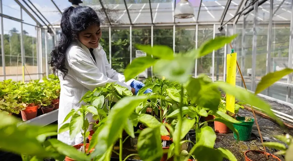 A student in a glasshouse in a lab coat smiling