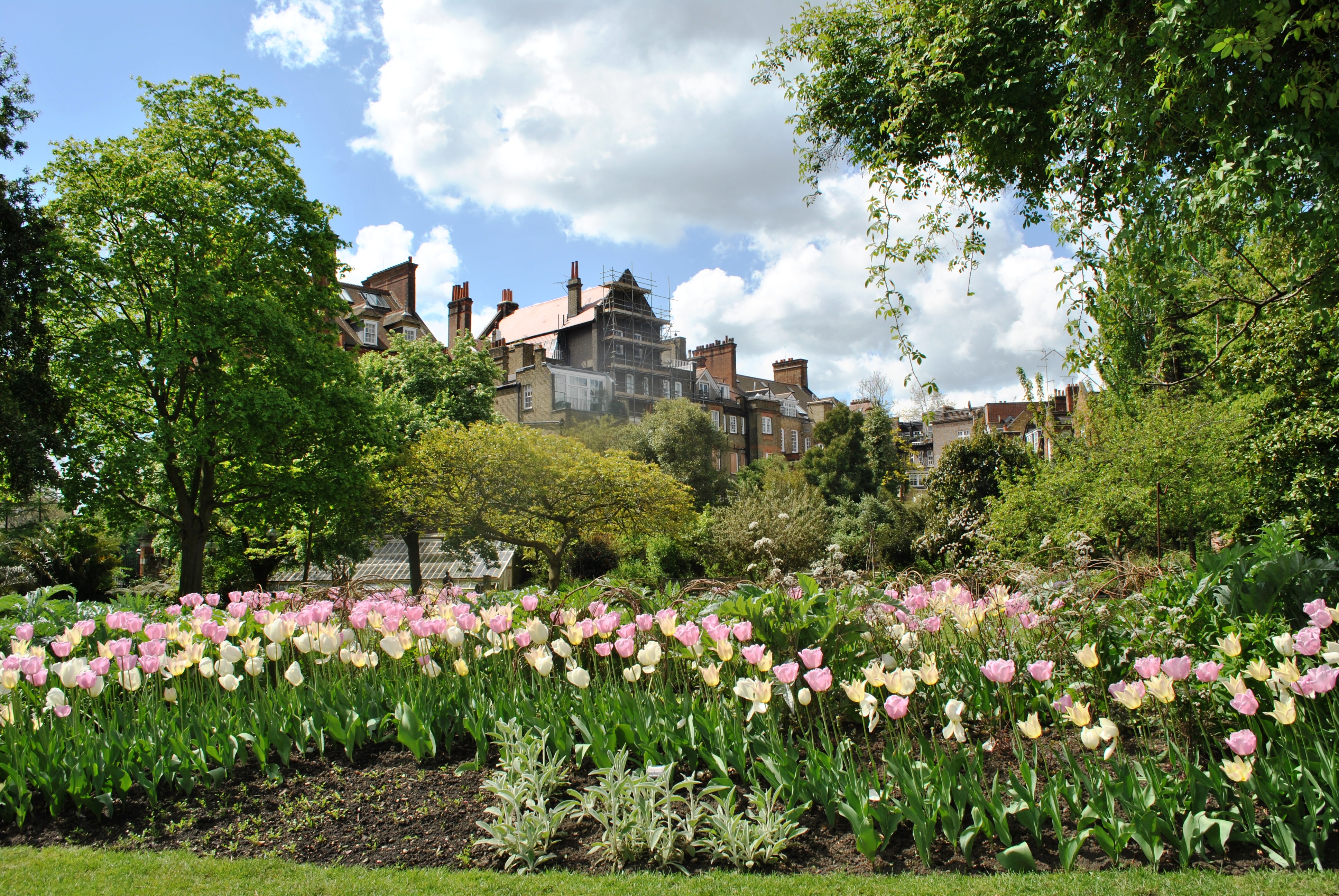 A blooming flower bed at the Chelsea Physic Garden