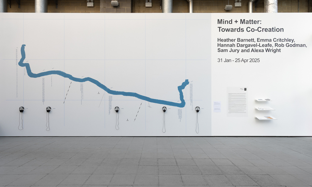 Mind and matter co creation
