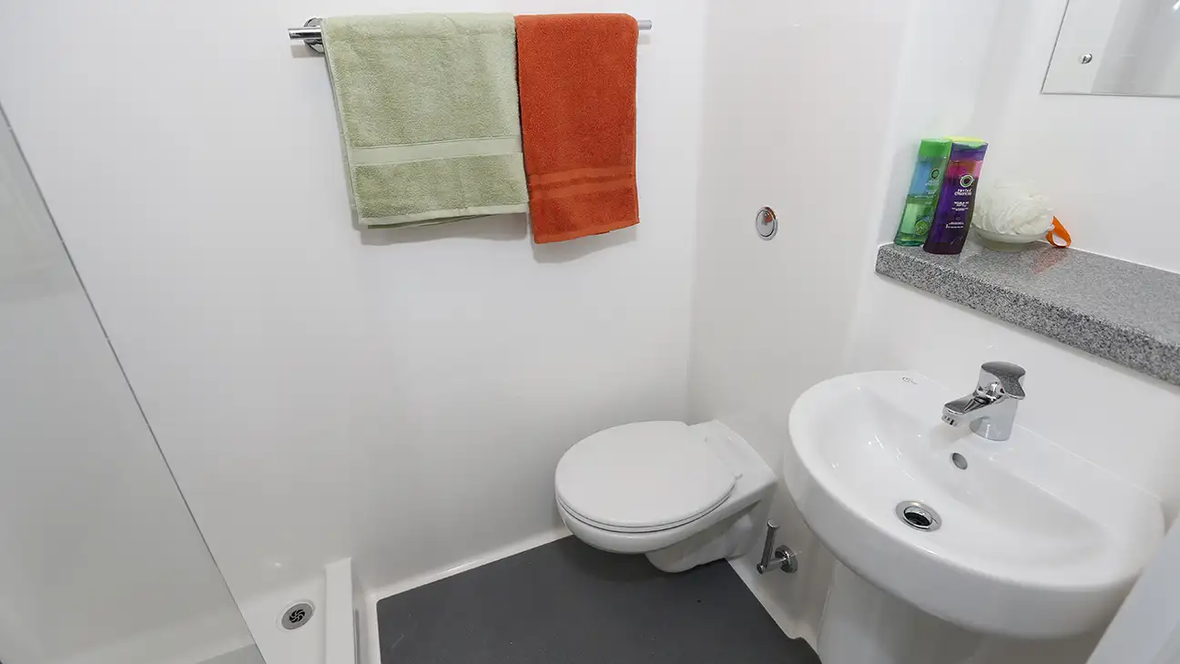 Sink and toilet 