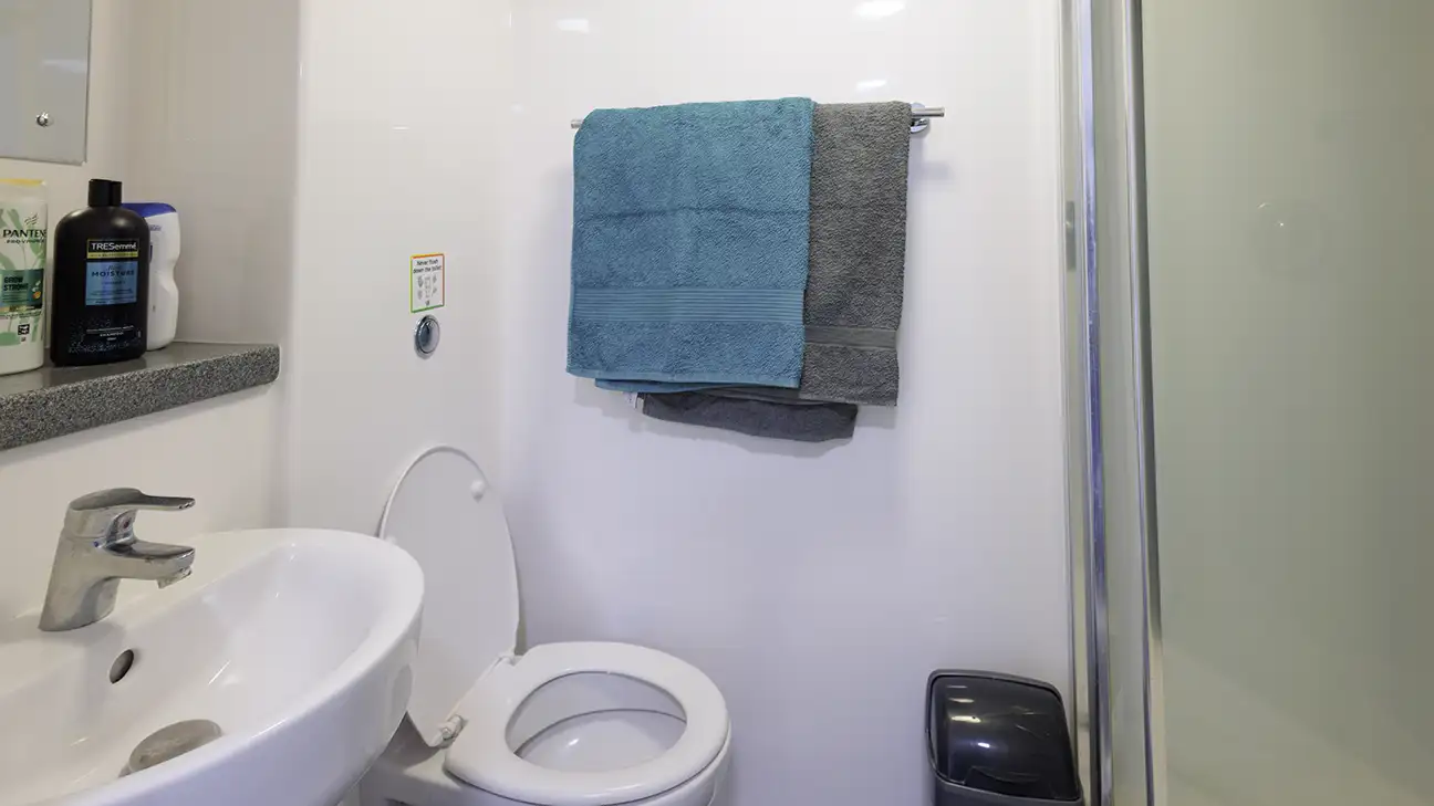 Toilet and sink