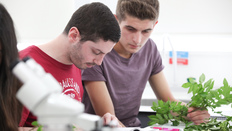 Two students studying plant
