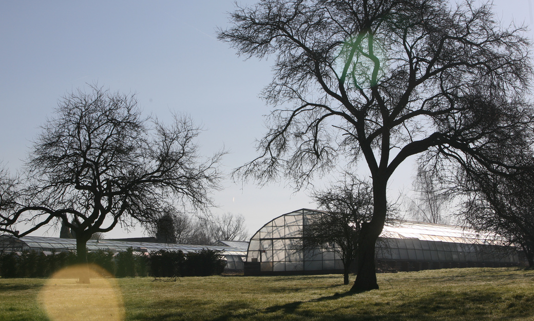 Greenhouse