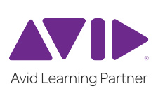 AVID purple logo