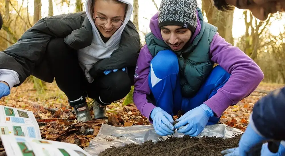 Students looking at dirt