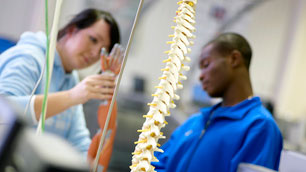 Female and male student looking at skeleton spine