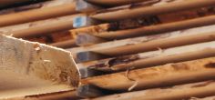 Wooden housing boom needed to boost climate goals, says new study – but is it possible?