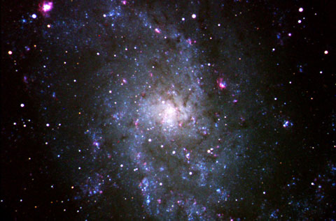 Triangulum Galaxy