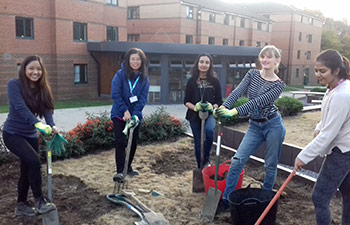 Students digging allotment
