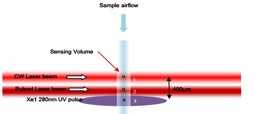 Spatial arrangement of sample flow diagram
