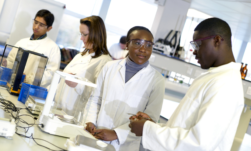 a class of students working on experiments in one of the laboratories 