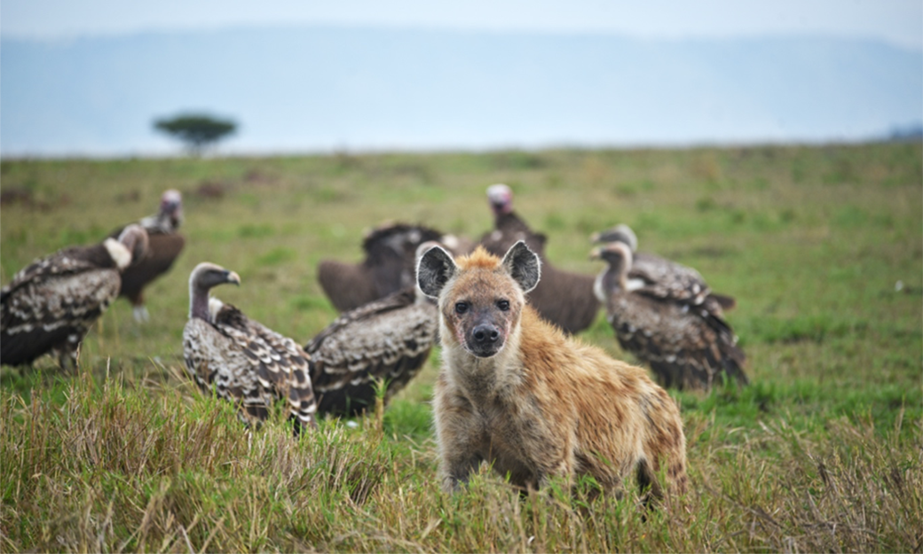 2nd Prize - James Fortune image
