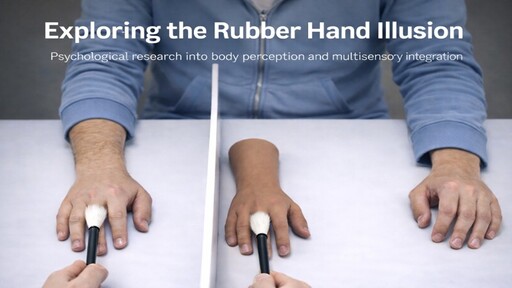 The image shows the rubber hand illusion in action, with a person sat at a table with their hands out in front of them