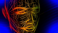 An abstract illustration of a head