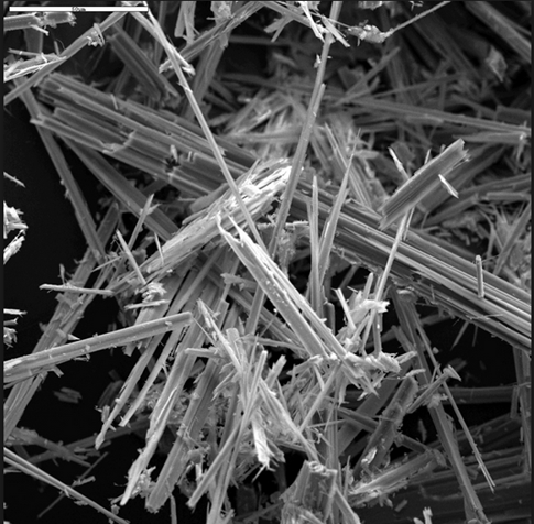 SEM image of Crocidolite fibres