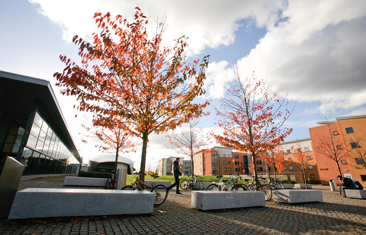 Visitors by the de Havilland Campus