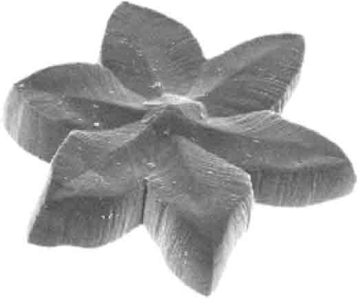 ice flower image