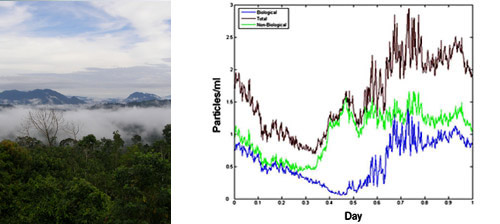 Jungle image and Graph