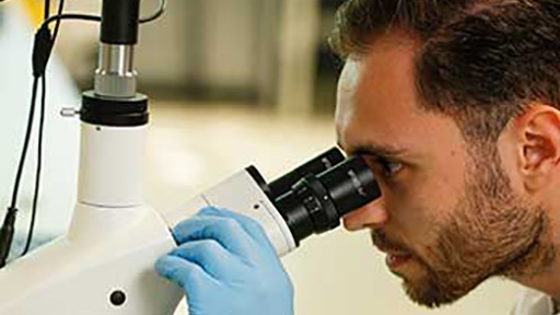 Student looking through microscope