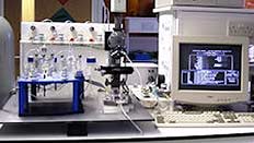 Prototype Microfluidic Blood Cell Analysis System