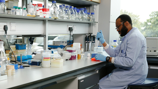 hekp image of researcher
