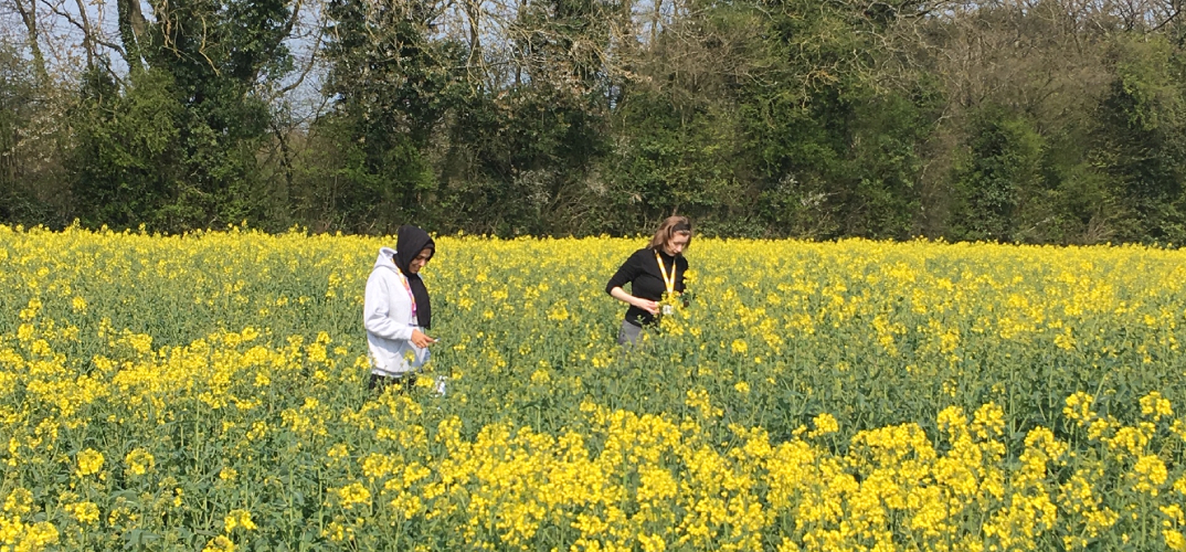 Innovative collaboration launched to combat crop disease 