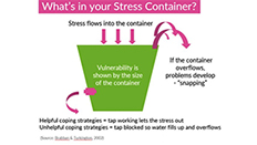 stresscontainer