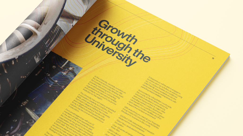 an example of a enterprise campaign publication spread