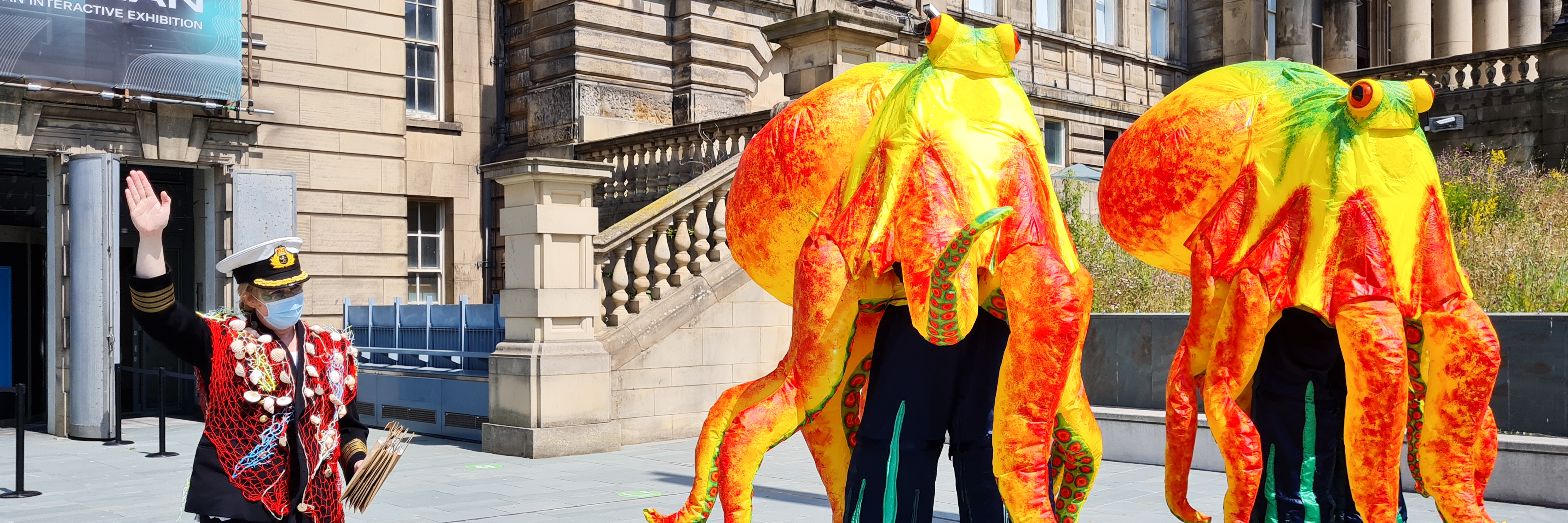 Octopi Walkabout