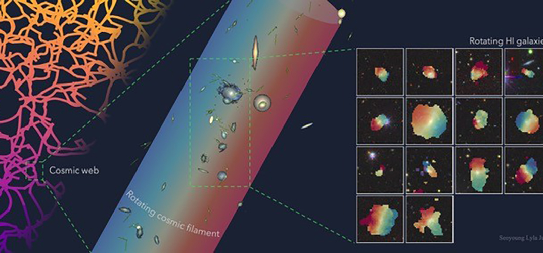 A figure illustrating the rotation of neutral hydrogen (right) in galaxies residing in an extended filament (middle)