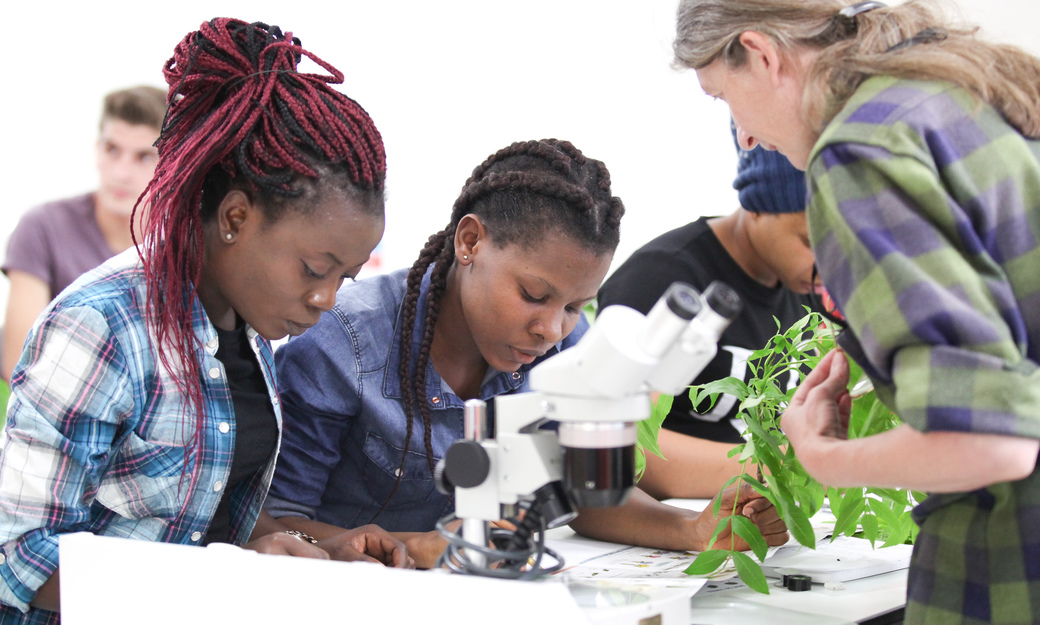 Students looking at placements under microscope