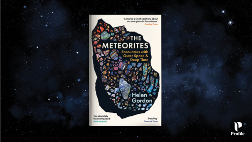 The Meteorites poster